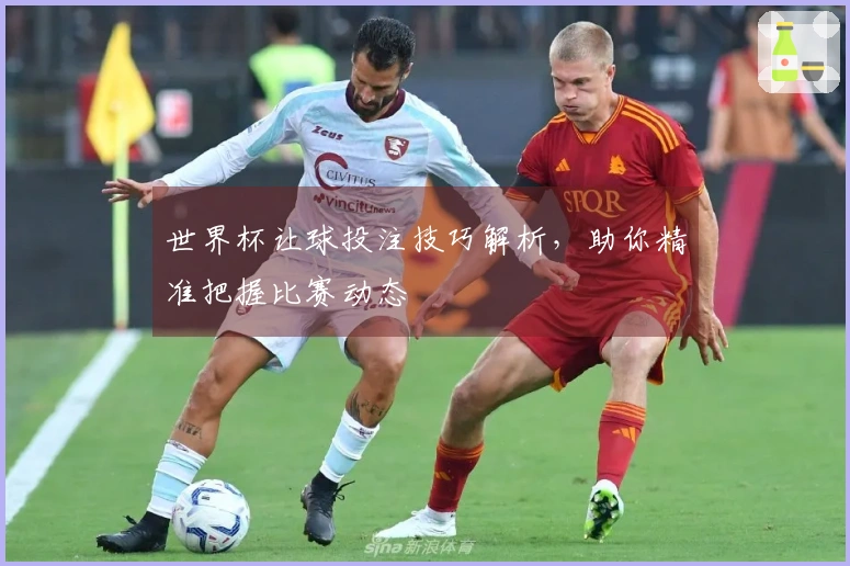 世界杯让球投注技巧解析，助你精准把握比赛动态