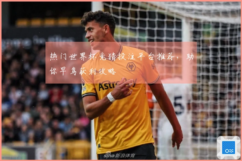 热门世界杯竞猜投注平台推荐，助你早鸟获利攻略