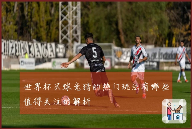 世界杯买球竞猜的热门玩法有哪些值得关注的解析