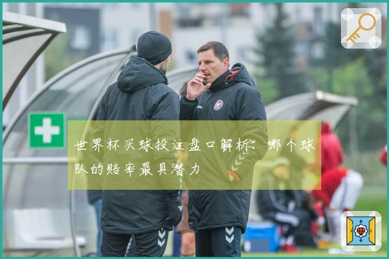 世界杯买球投注盘口解析：哪个球队的赔率最具潜力